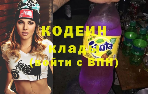 шишки Богородицк
