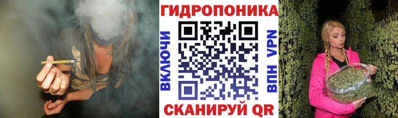 Каннабис марихуана  Онега 