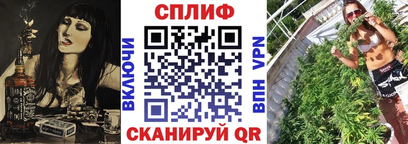 Бошки Шишки гибрид Онега